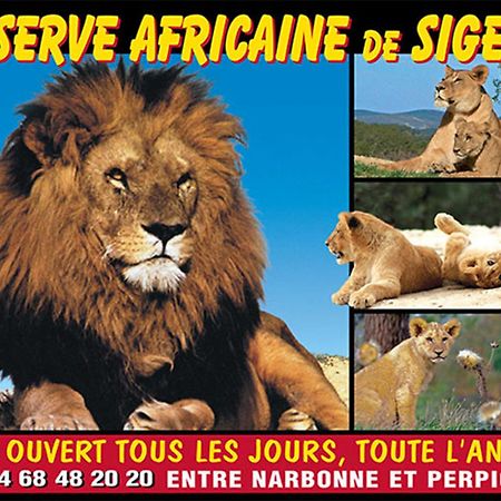 Le Mieukerien - Reserve Africaine 15 Mn, Plage 200M, Terrasse ปอร์-ลา-นูแวลล์ ภายนอก รูปภาพ