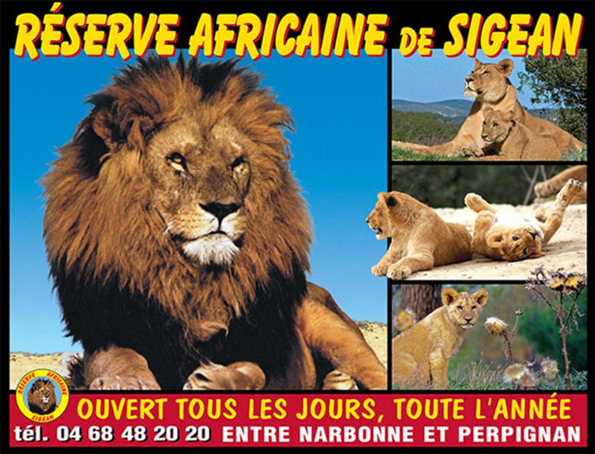 Le Mieukerien - Reserve Africaine 15 Mn, Plage 200M, Terrasse ปอร์-ลา-นูแวลล์ ภายนอก รูปภาพ